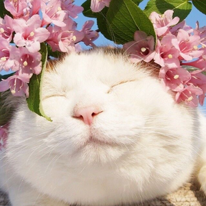 美女脱光无马赛克
